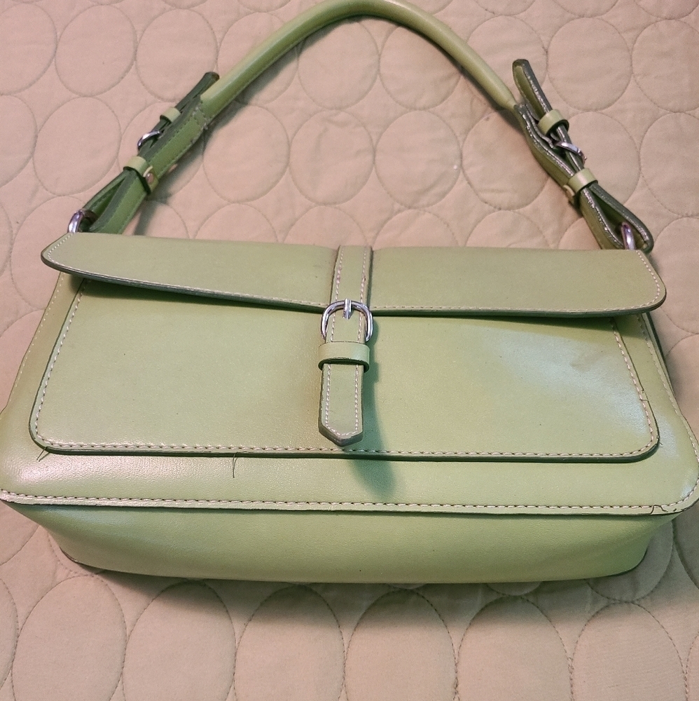 HP 🔥🔥🔥NWOT Mondani purse, handbag Green